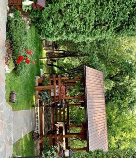 Borsa Villa | Casa din livada