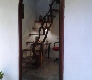 Pati Valley House | Casa do Bosque