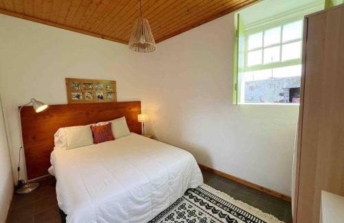 Madalena Apartment | Casa do Cacto - 1 Bedroom Cosy Flat
