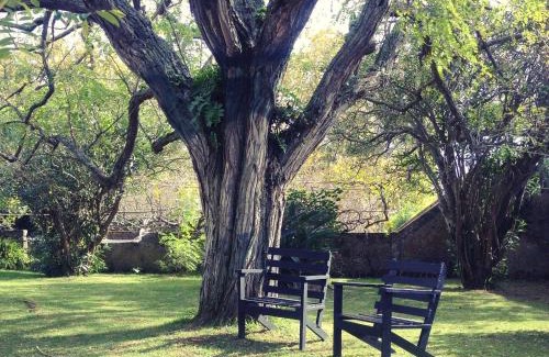 Livramento House | Casa Do Populo