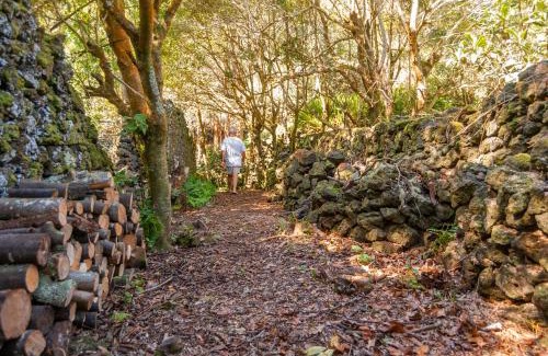 Livramento House | Casa Do Populo