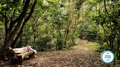 Livramento House | Casa Do Populo