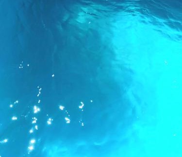 Canela House | Casa do scur