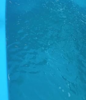 Canela House | Casa do scur