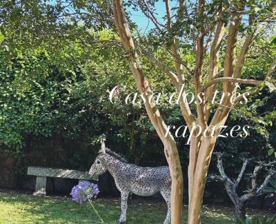 Santo Tirso Villa | Casa dos três rapazes