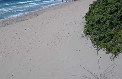 Tuglie House | Casa Eleonora