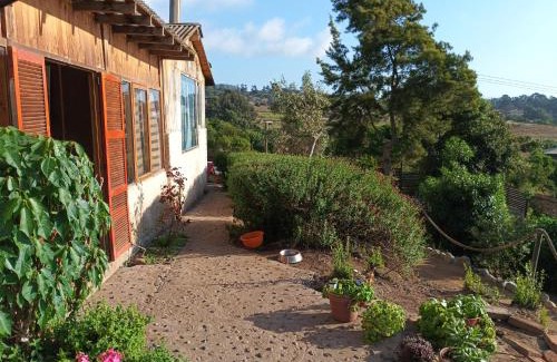 Maitencillo Apartment | Casa Emilia Condominio Linda Loma Maitencillo