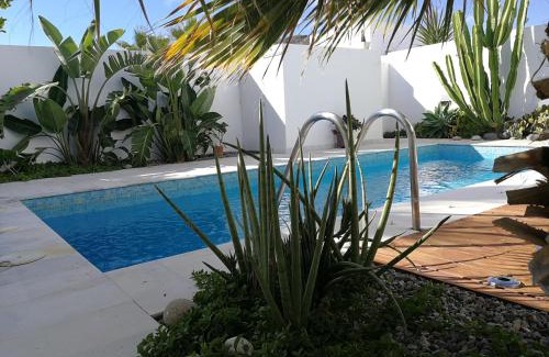 Las Negras House | Casa Euphorbia