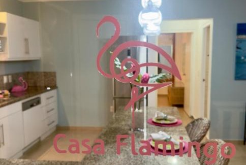 Hato Apartment | Casa Flamingo