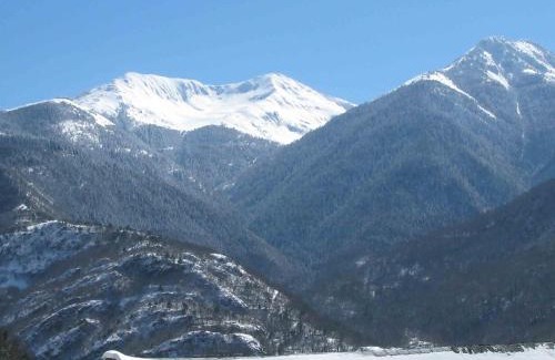 Arro House | Casa Helipa