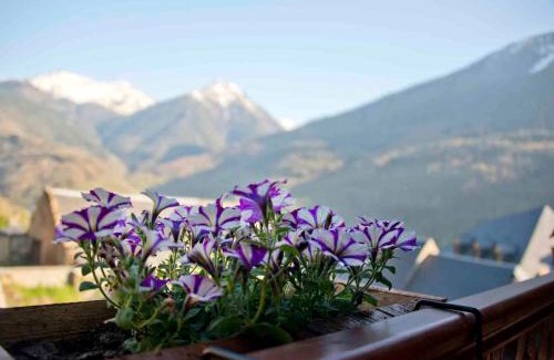 Arro House | Casa Helipa