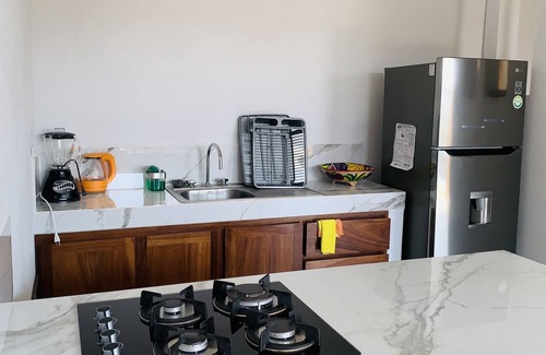 Barra de Potosi House | Casa Hipocampo, a Unos Pasos de Playa Blanca