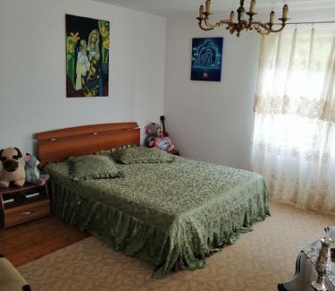 Agapia House | Casa Ilea -Agapia