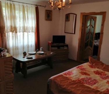 Agapia House | Casa Ilea -Agapia