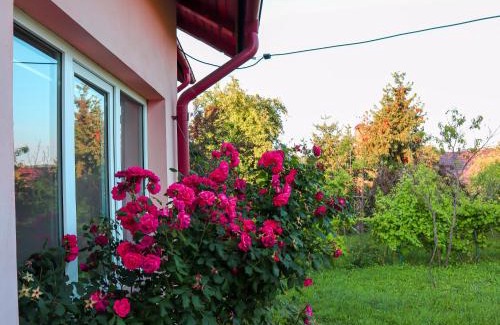 Breaza de Jos House | Casa Ili