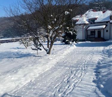 Rasnov Villa | Casa Ina Rasnov