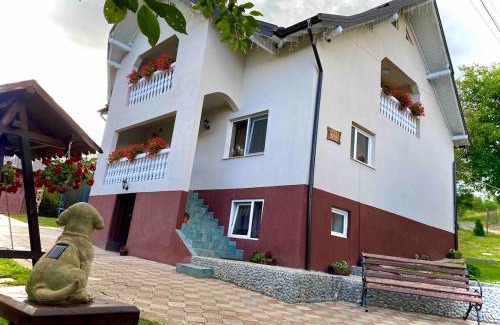 Moisei House | Casa Ioana Moisei