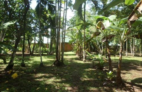 Pila House | Casa Jean, comfortable avec piscine