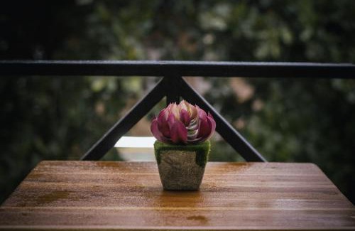 Lumphli Hostel | Casa Krung Kao