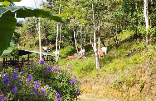 Potrero Grande House | Casa Las Gemelas