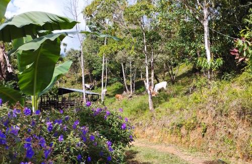Potrero Grande House | Casa Las Gemelas