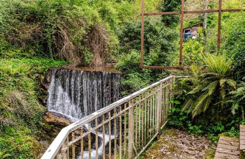 Rufina Apartment | Casa Laura Nature and Art in the heart of Tuscany