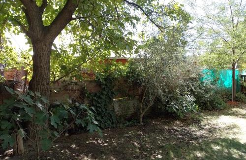 Plottier House | Casa Lennon