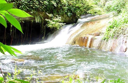 Reino House | Casa Linda Ilhabela