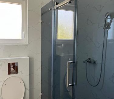 Mladenovac House | Casa Lisović