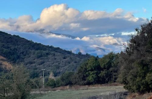 Curacavi House | Casa los Boldos