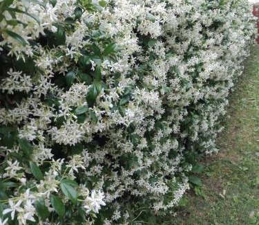 Civita Castellana Apartment | Casa Marilè