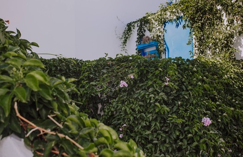 Los Llanos House | Casa Marita, con Amplia Patio, en Calle Peatonal, a Cien Metros del Centro