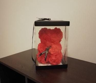 Giurgiu House | CASA MEA-Casa Mocanu