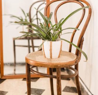 Gualeguaychu House | Casa Mechi