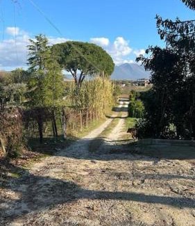 Palombara Sabina Villa | Casa nel verde a Monterotondo