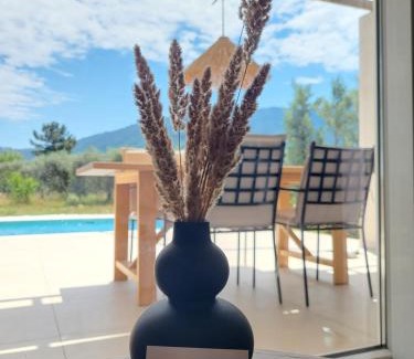 Skala Potamias Villa | Casa O' - Moderne Villa mit großer Terrasse und privatem Swimmingpool