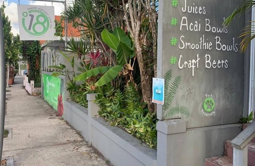 Mameyes II Apartment | Casa Palmer #3 Min away from El Yunque Rainforest