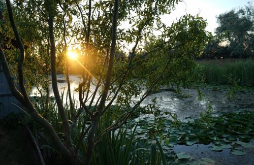 Sfantu Gheorghe House | Casa Pescarului La Maxea