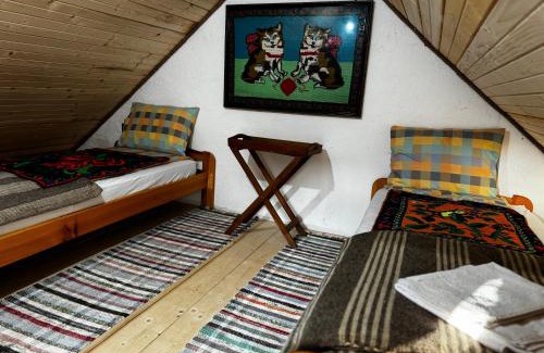 Suncuius Cabin | Casa Radu - Zece Hotare