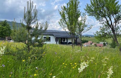 Toplita House | Casa Ranio