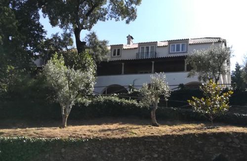 Castanheira de Pera House | Casa Ribeira de Pera