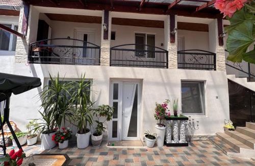 Sighisoara House | Casa RIO