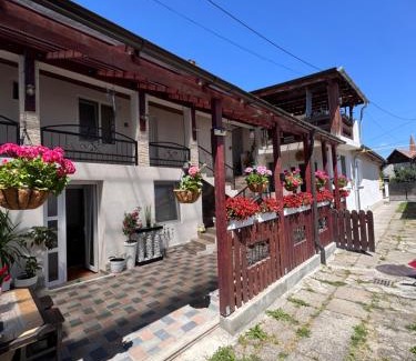 Sighisoara House | Casa RIO