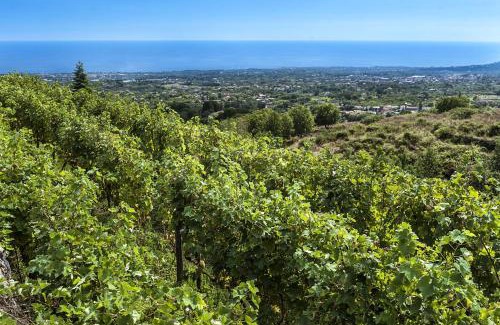 Giarre House | Casa Rosa