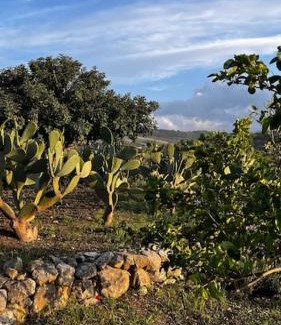 Misilmeri Villa | Casa Rosalia - Home and Garden