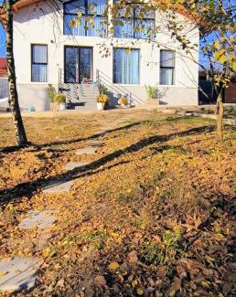 Runcu Villa | Casa Runcu Dambovita