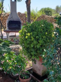 Ciudadela House | Casa rural 6-9 personas