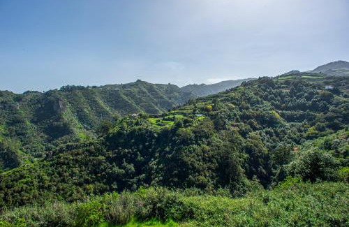 Moya House | Casa Rural El Majano