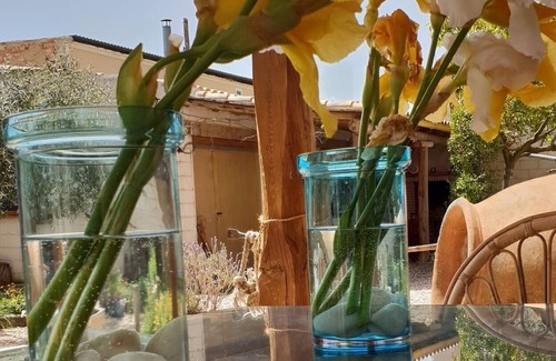 Rozalen del Monte House | Casa Rural Para 12 PAX con Bbq, Piscina, Sala DE Juegos Y Jardín