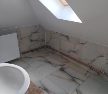 Dambovicioara House | Casa Sara